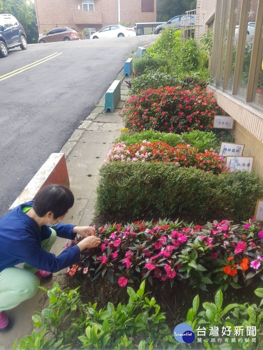 北榮桃分院開心農場 園藝學員種下心中的一畝田