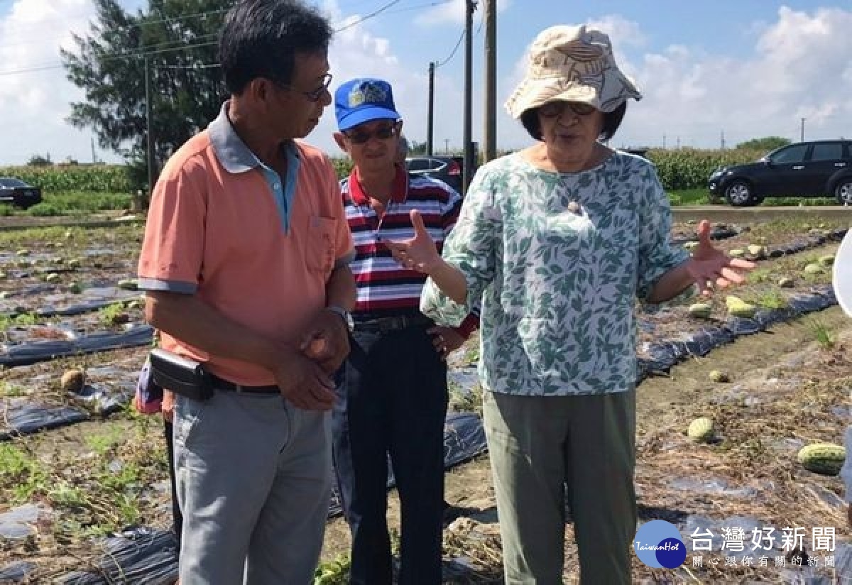 立委蘇治芬會同農糧署及農改場前往瓜農、菜農受災田間現勘,呼籲縣府儘速彙報農委會辦理救助,不要讓農民為生計煩惱。