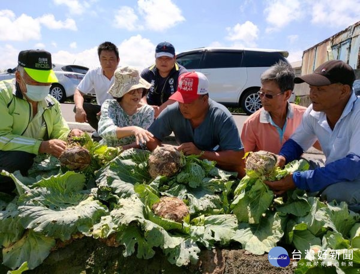 立委蘇治芬會同農糧署及農改場前往瓜農、菜農受災田間現勘,呼籲縣府儘速彙報農委會辦理救助,不要讓農民為生計煩惱。