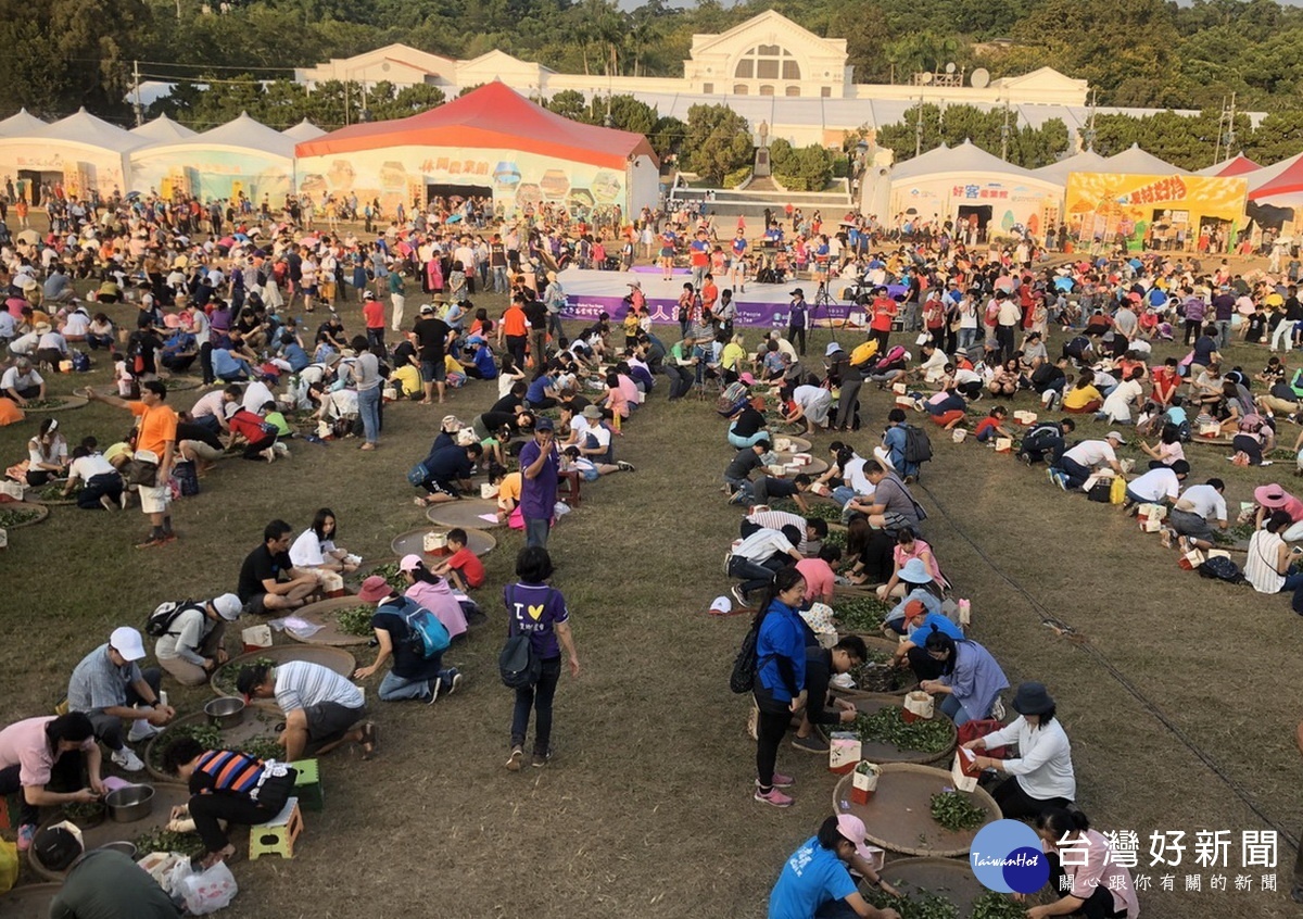 千人揉茶千人茶會等場面空前。(記者扶小萍攝)