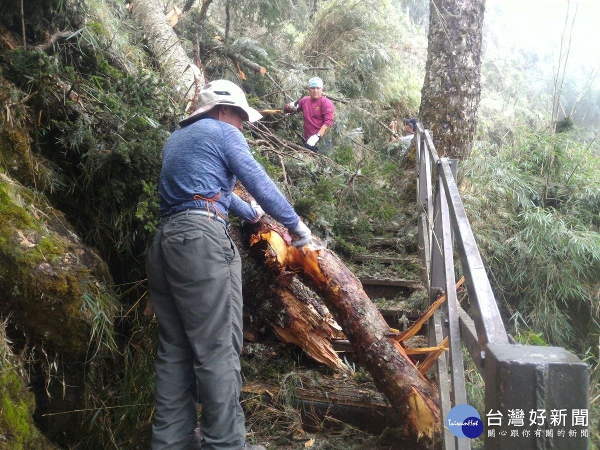 玉管處同仁處理風災後玉山步道落石倒木的情形（圖片/玉管處提供）