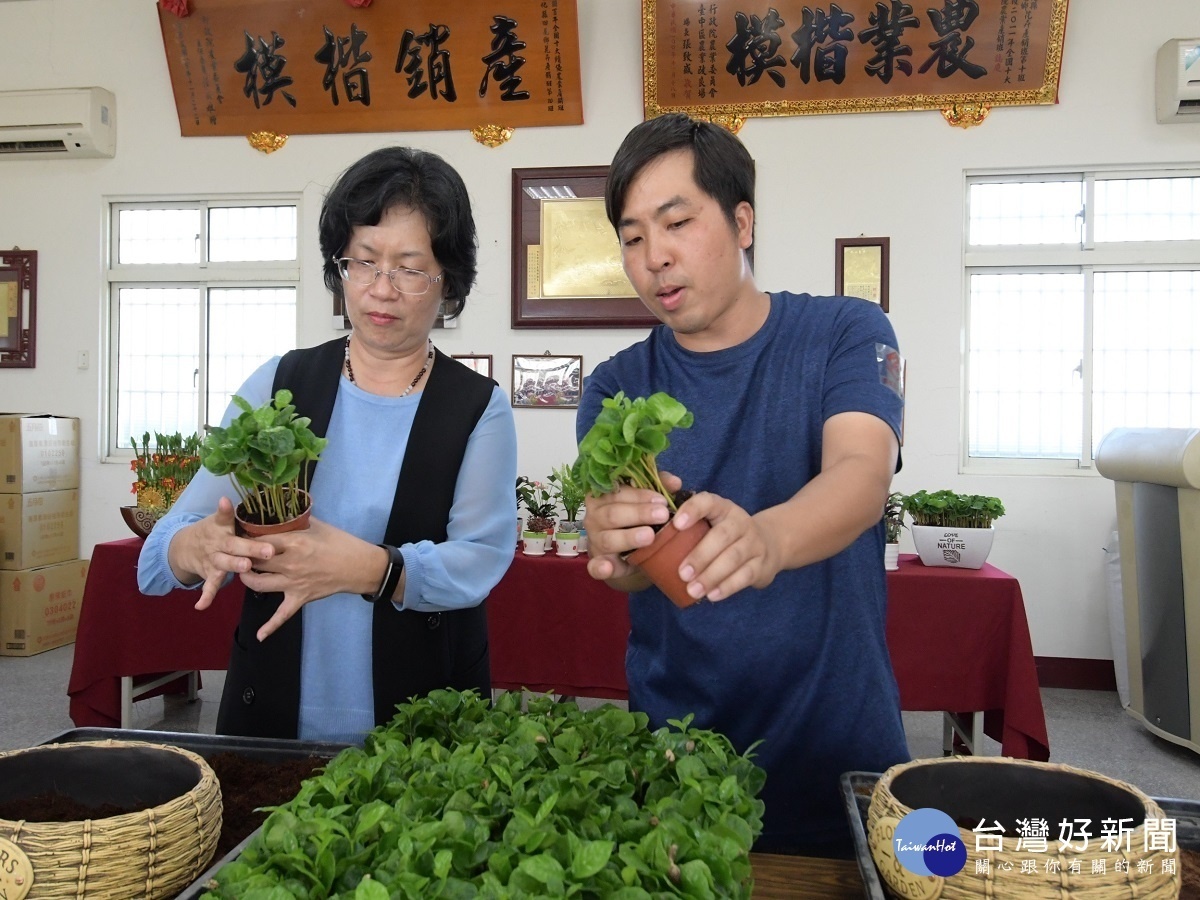 王惠美関心花卉產地種植 參訪田尾鄉瑞楓花卉農園