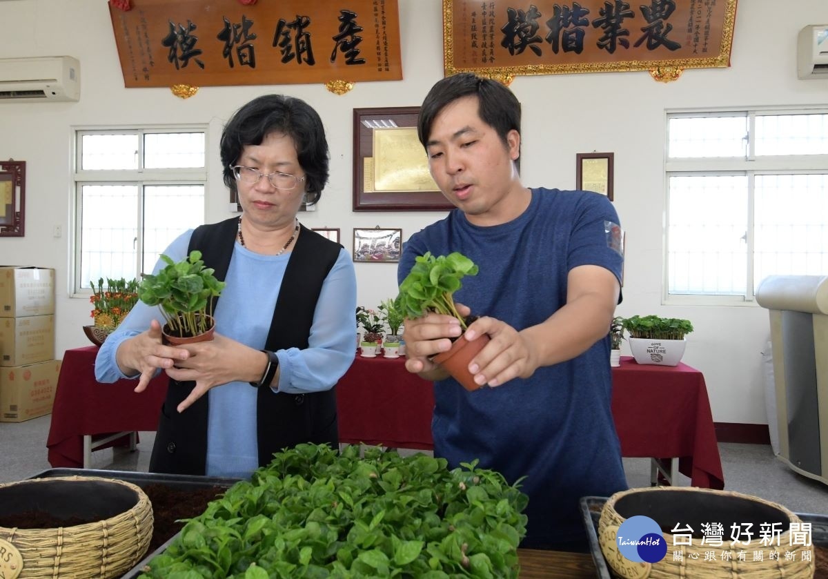 縣長王惠美參訪瑞楓花卉農園時,園主指導王縣長DIY。