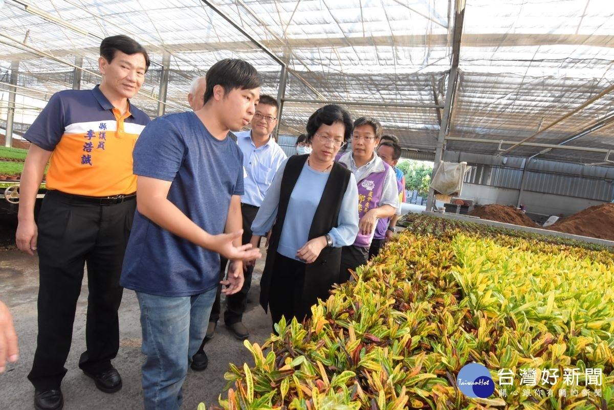縣長王惠美參訪瑞楓花卉農園的小品盆栽栽培。