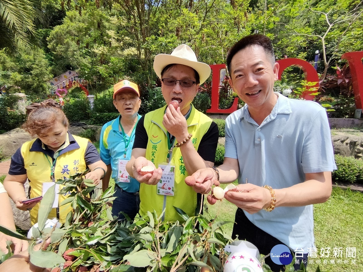 彰化市長林世賢與縣議員張翰天說，八卦山荔枝特別好吃。圖／記者鄧富珍攝