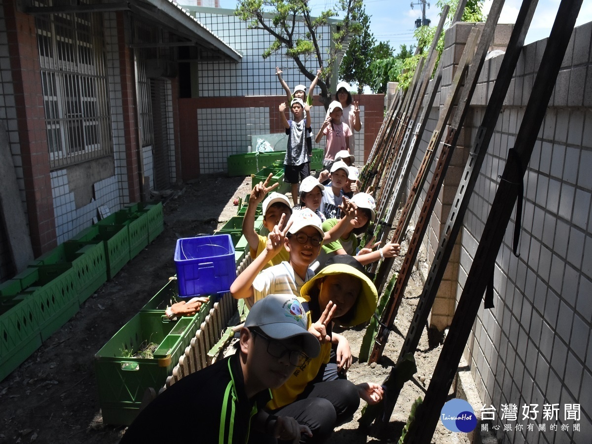 廣興畢業生闢建校內火龍果園　留給母校一份「感恩禮」