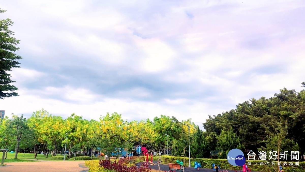 美崙公園阿勃勒金黃花海（圖／台北市公園處提供）