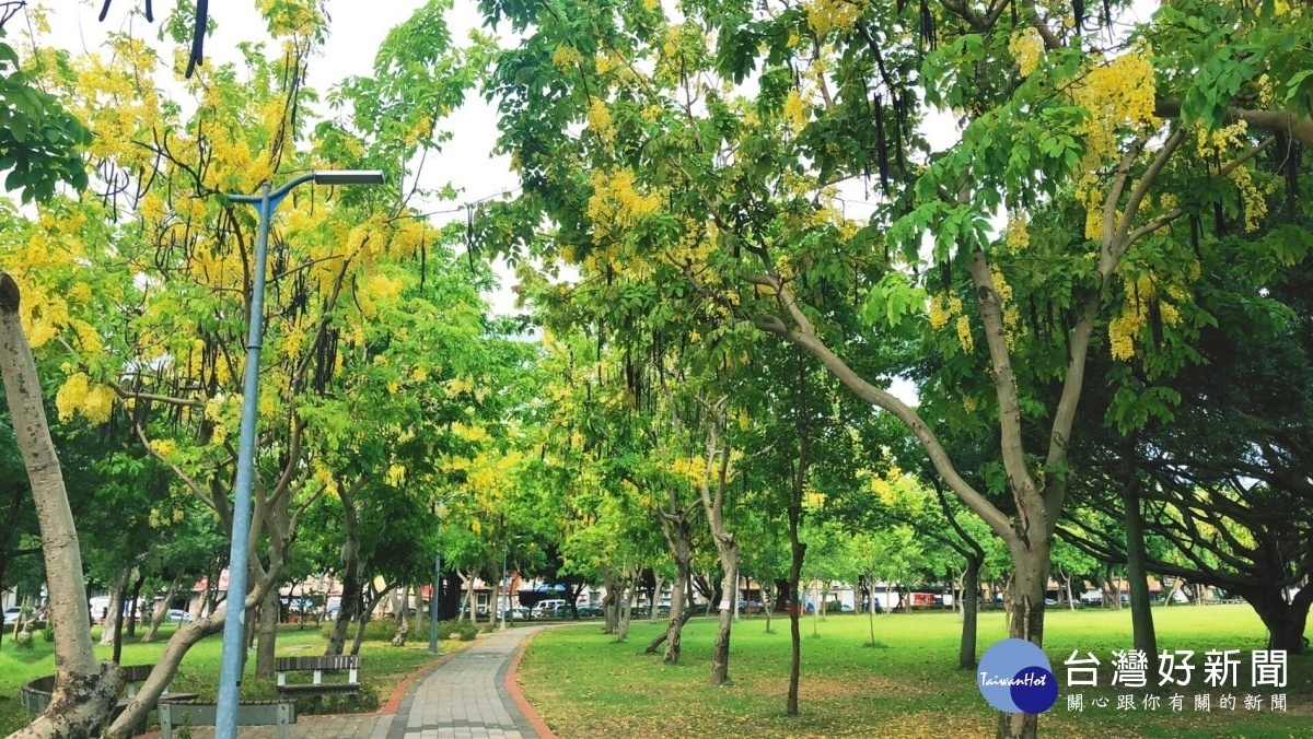 美崙公園花海廊道（圖／台北市公園處提供）