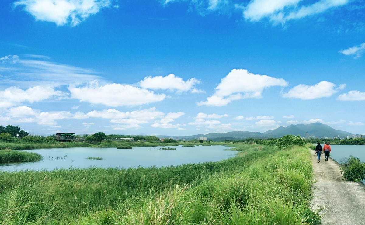 社子島濕地(圖/台北市水利處提供)