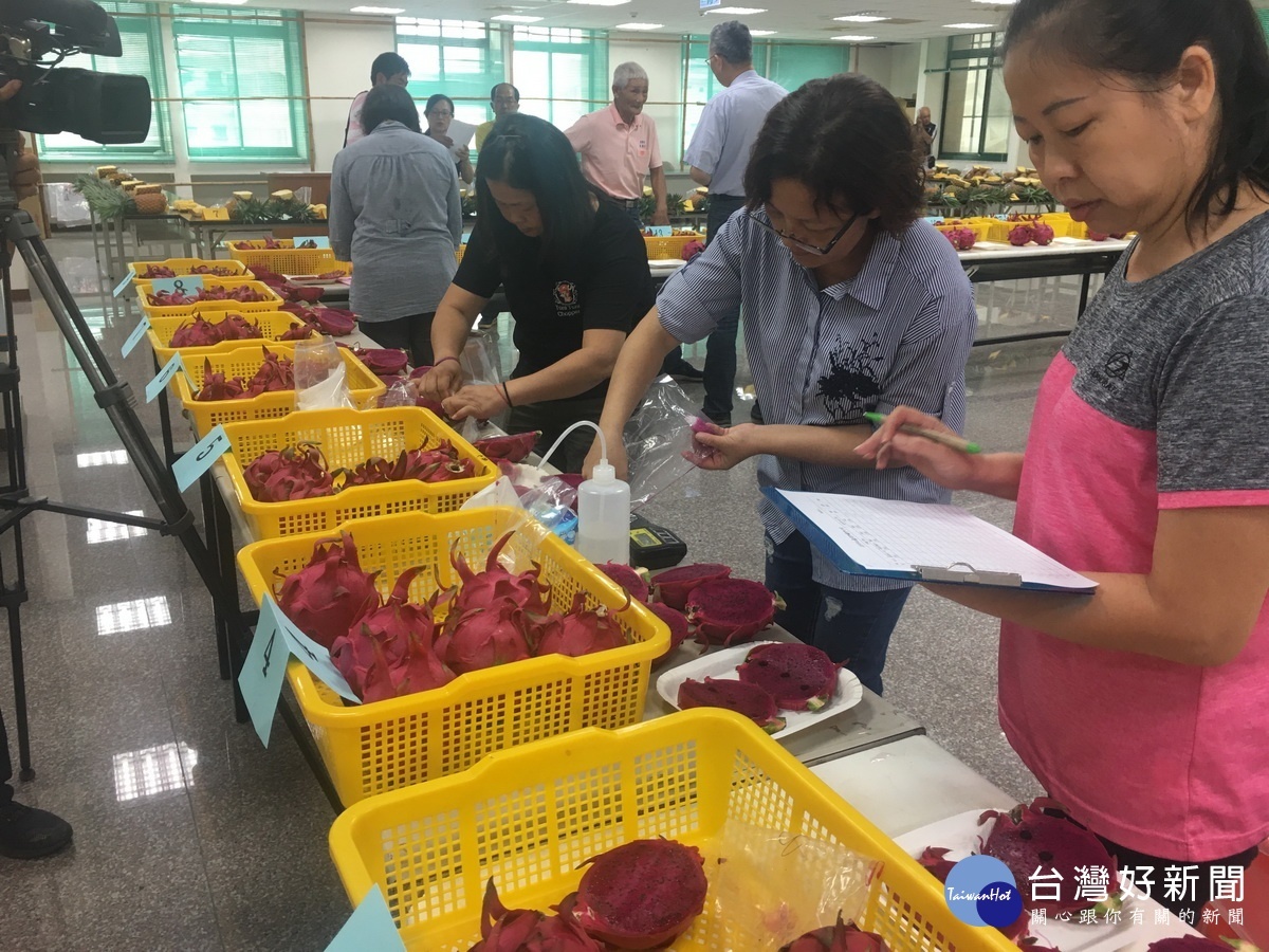 評鑑會場就果品的糖度都有進行檢測。(記者扶小萍攝)