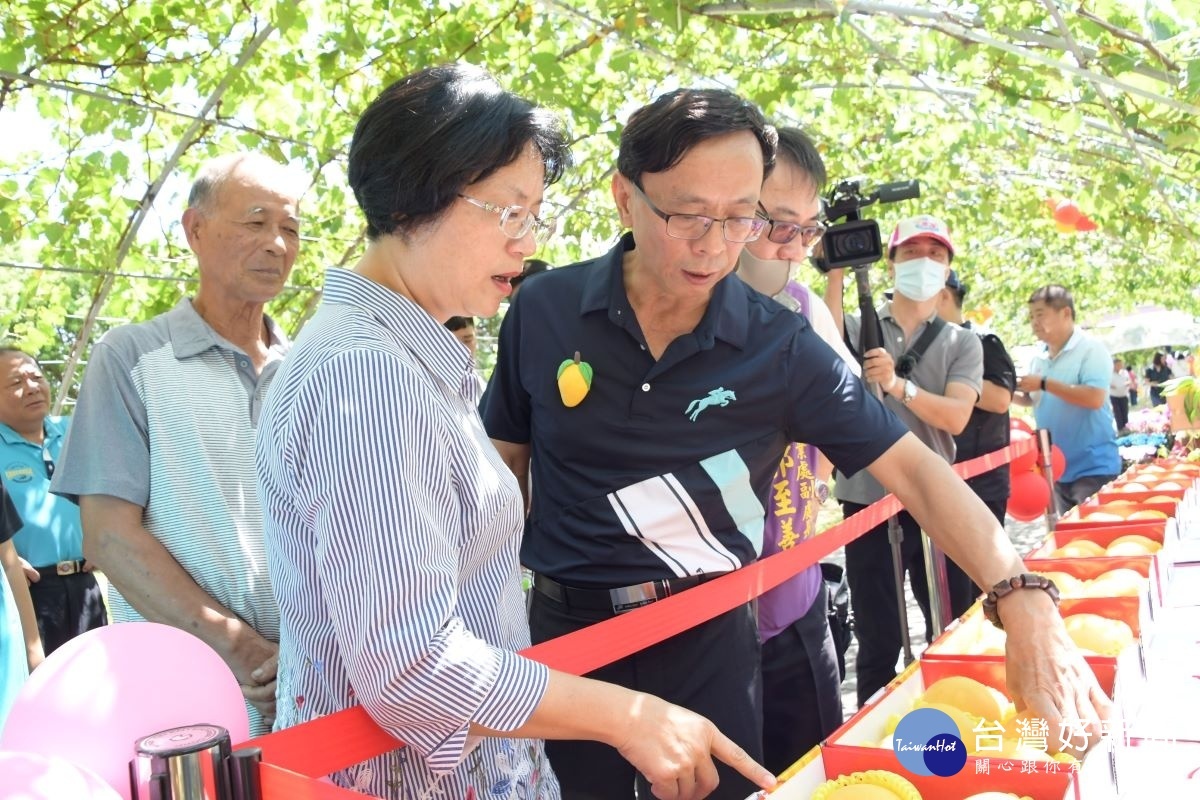 金蜜芒果產業推廣行銷活動，縣長王惠美巡視芒果評鑑攤位。