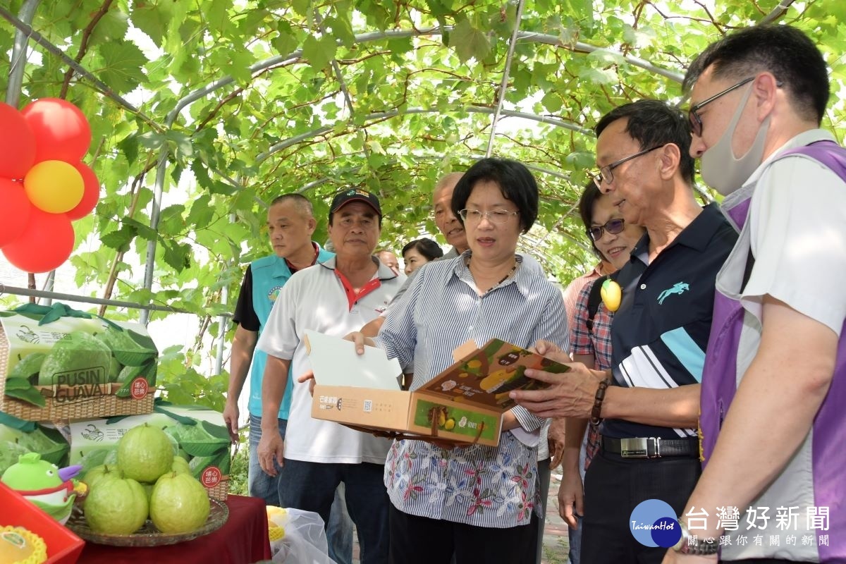 金蜜芒果產業推廣行銷活動中，縣長王惠美巡視埔心農會伴手禮攤位。