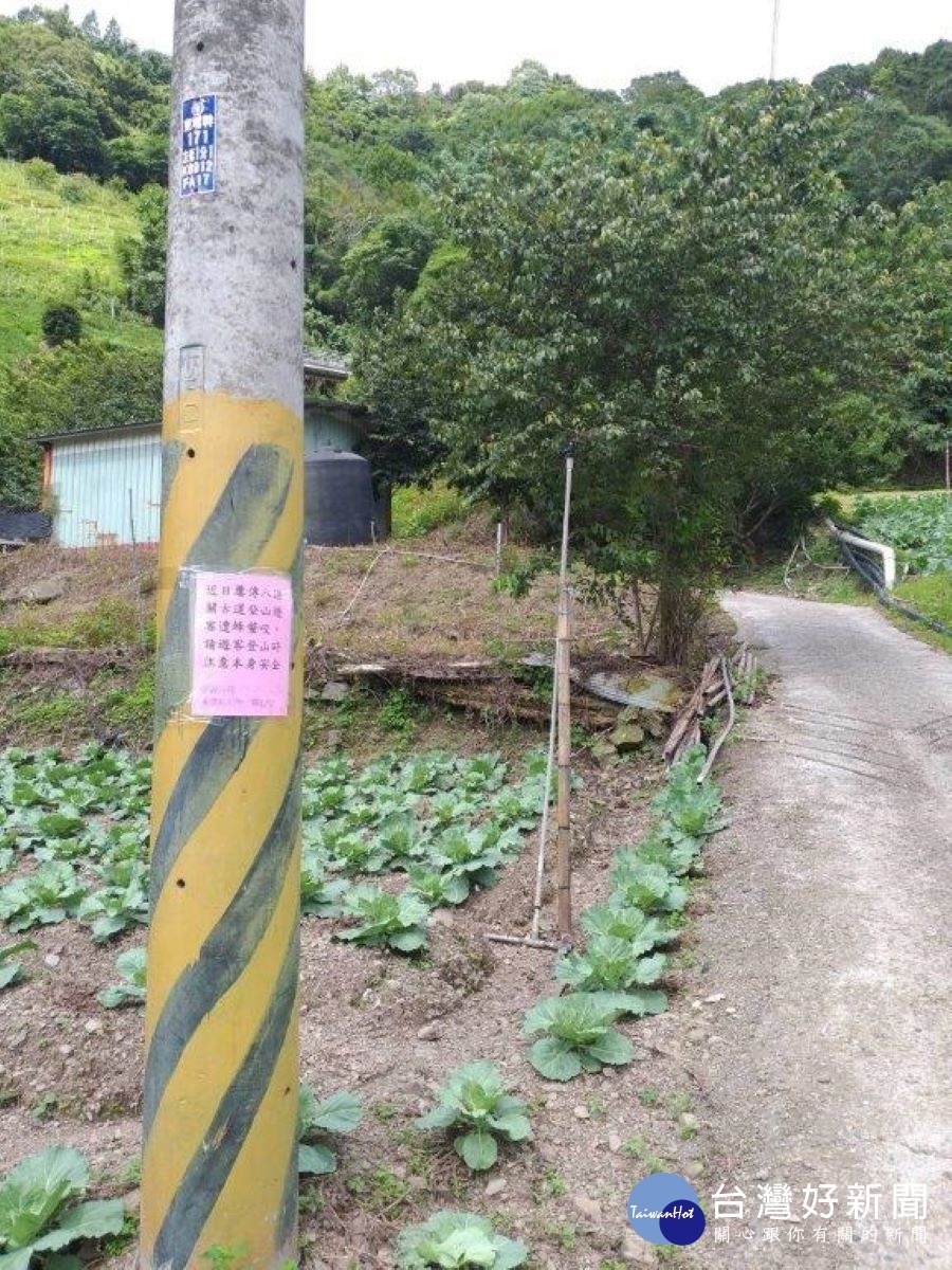 登山口旁張貼告示提醒遊客有虎頭蜂出沒螫咬,請注意安全