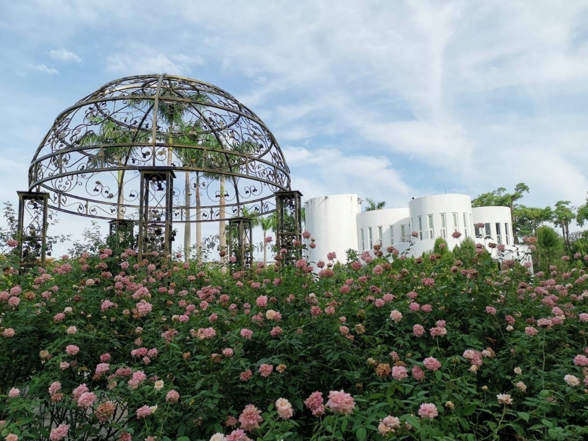 光之圓頂下的玫瑰花是熱門打卡點(圖/台北市公園處提供)