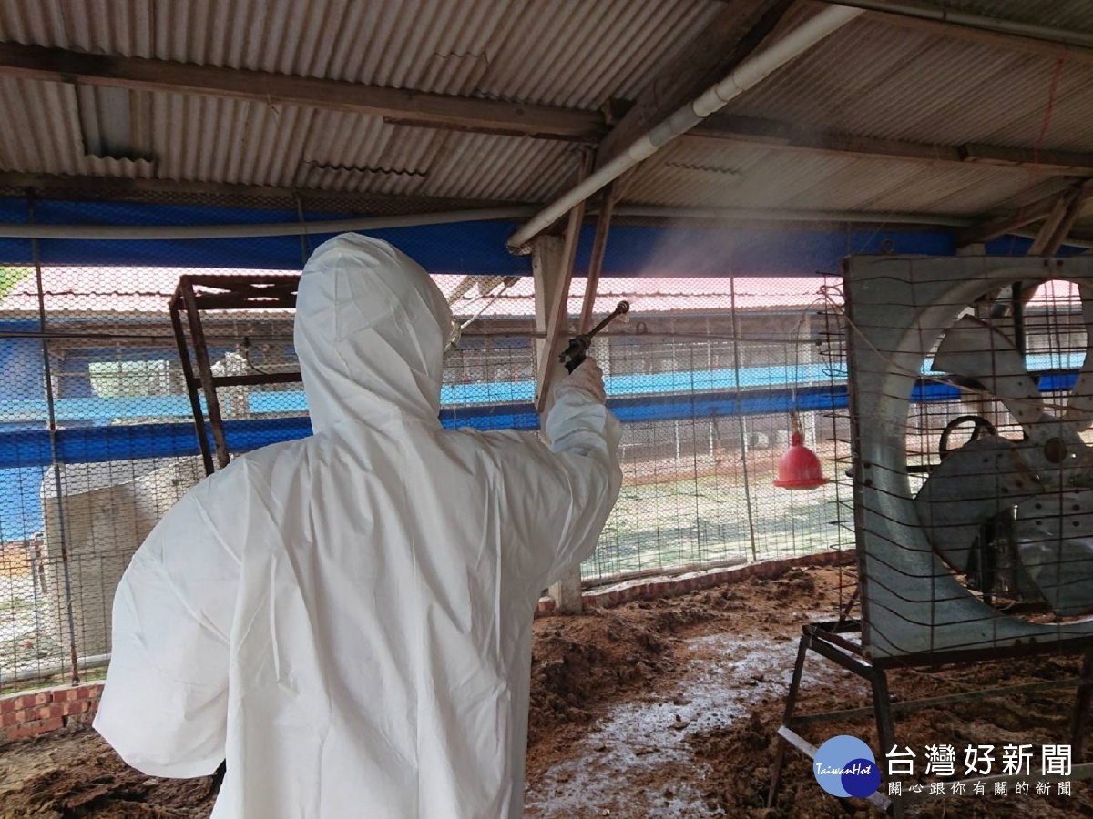動保處於下營區禽流感案例場撲殺處置情形及消毒作業。