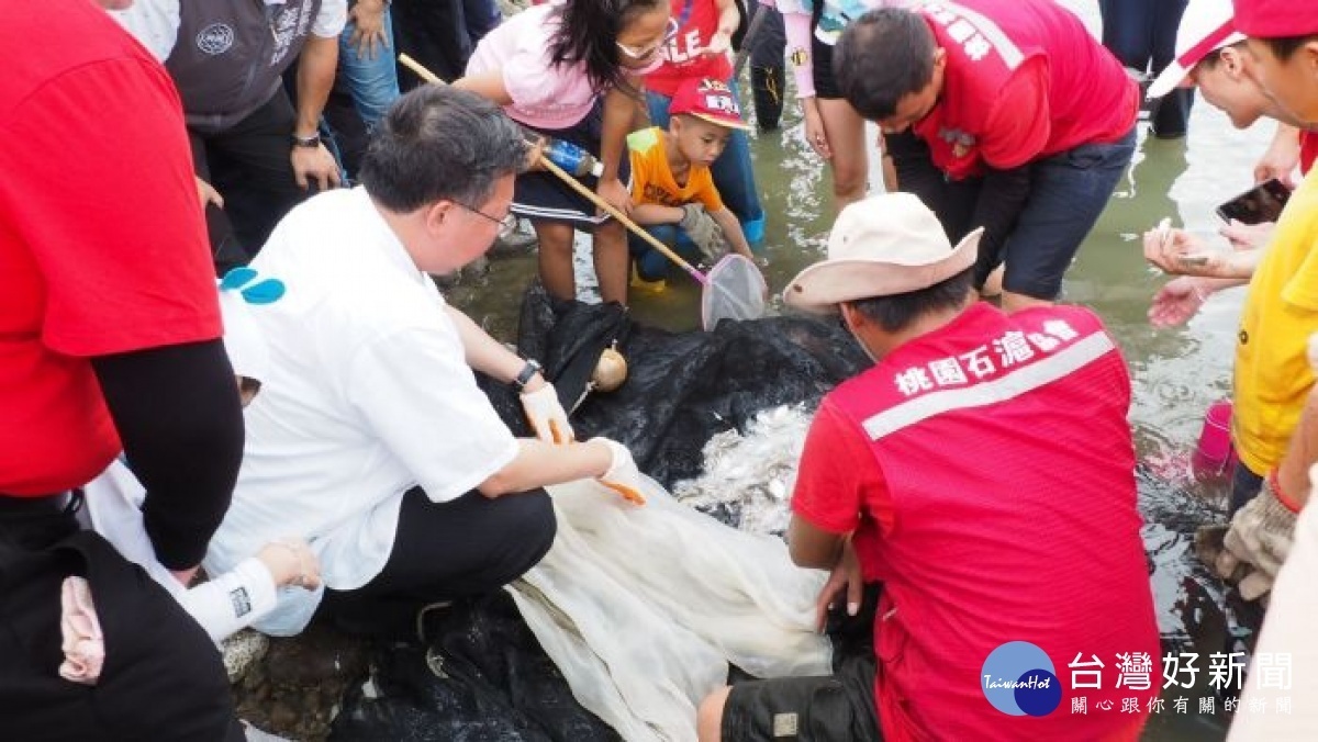 桃園市長鄭文燦前往新屋觀海亭,出席「新屋石滬捕魚趣體驗活動」