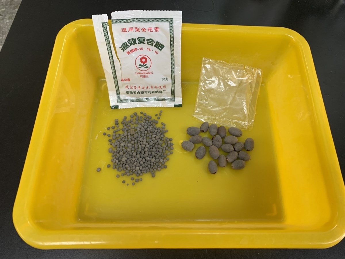農委會動植物防疫檢疫局表示,民眾若收到不明包裹切勿亂丟,須與防檢局聯繫作進一步處置,以防引發台灣生態系災情。(圖/農委會動植物防疫檢疫局)