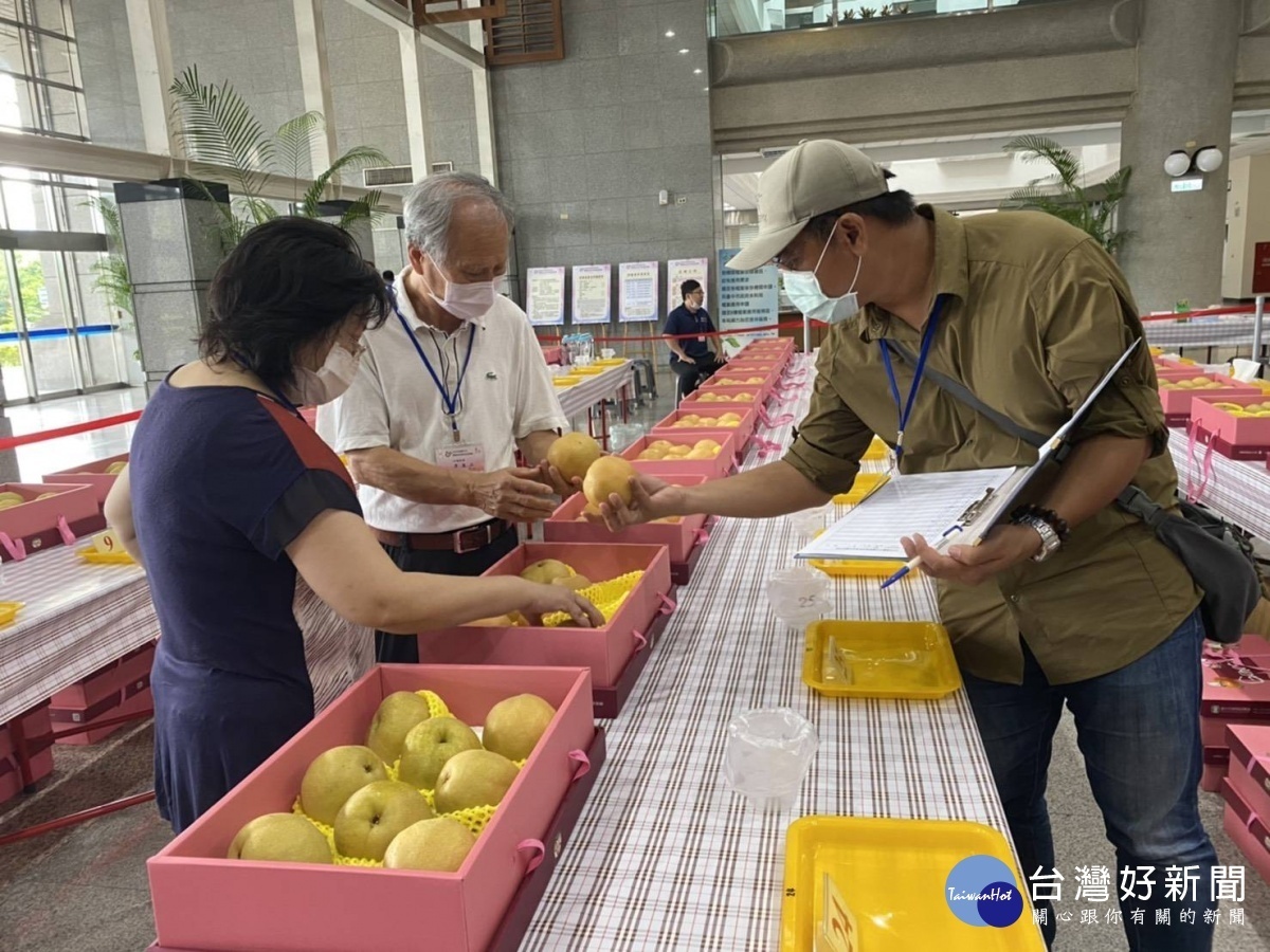 水梨評鑑競爭激烈