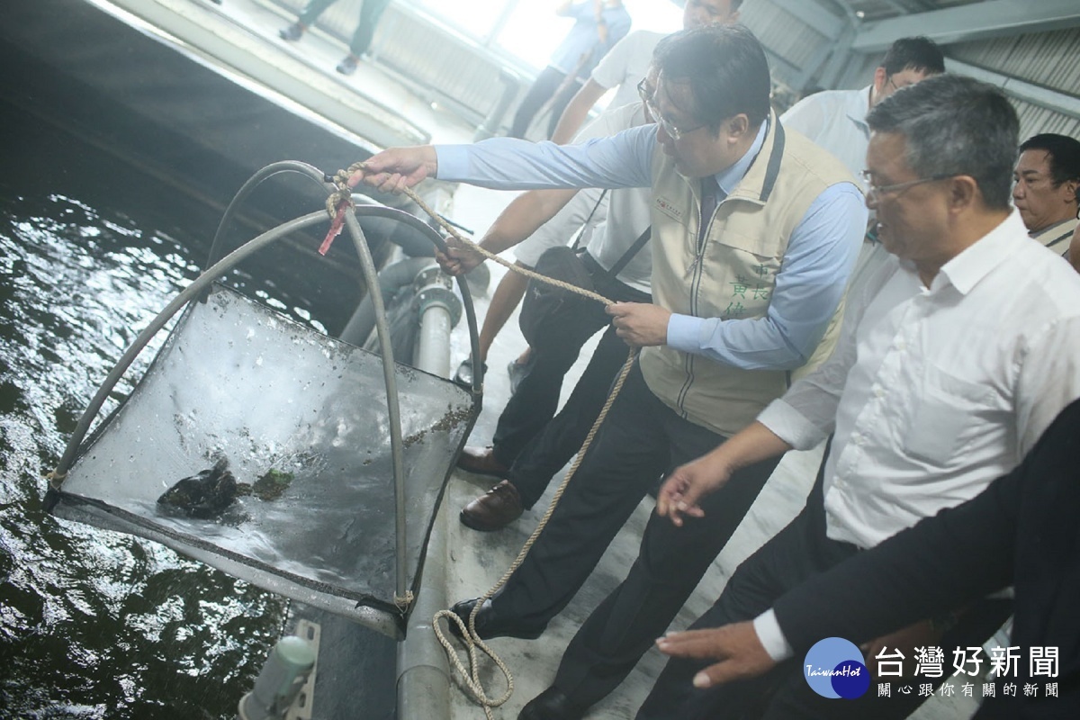 黃偉哲市長與陳啓昱董事長拿起料傘觀察池中石斑魚吃料狀況。