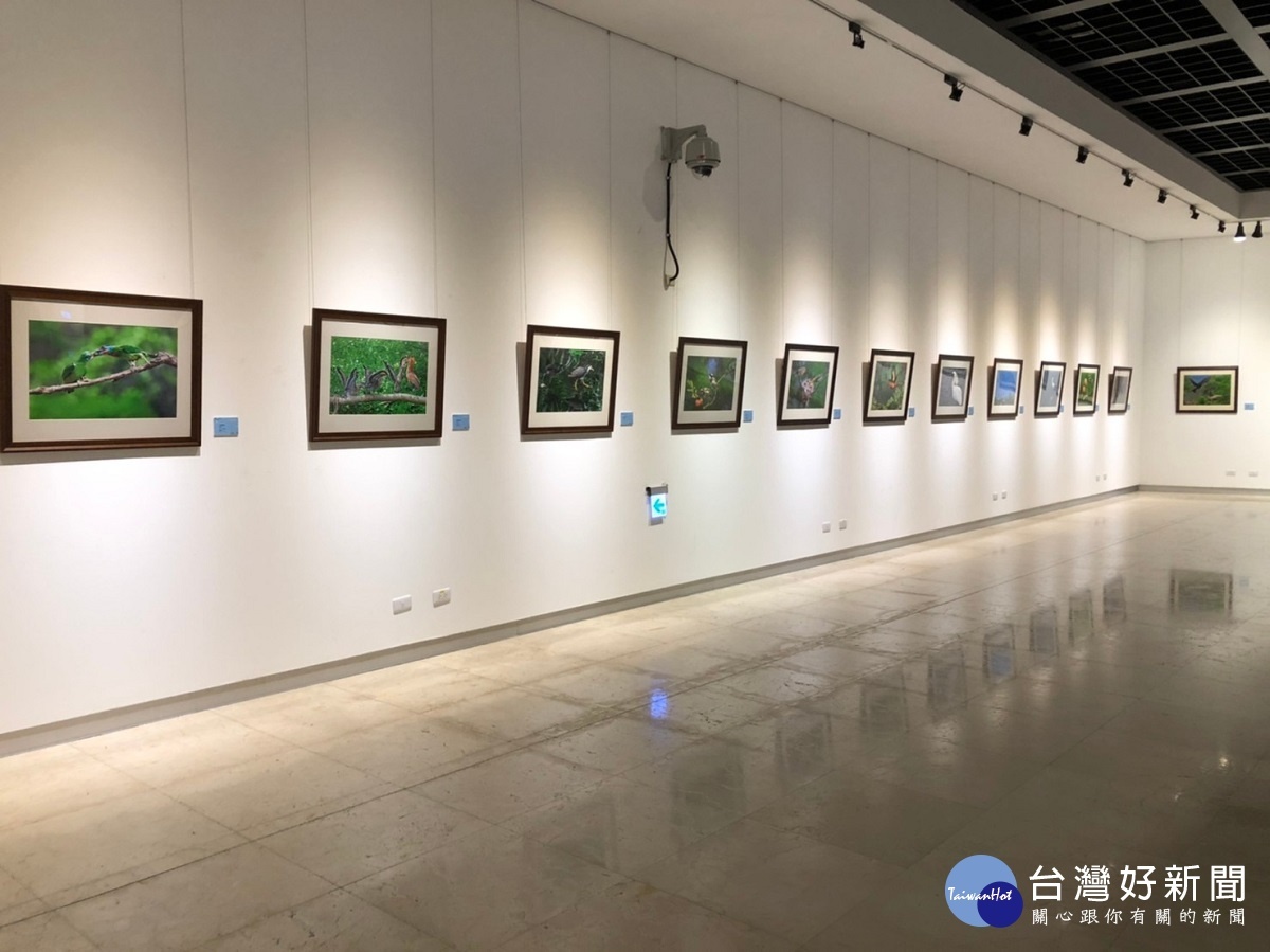 彰化縣美術家第102棒,許桂益「臺灣野鳥之美攝影展」。