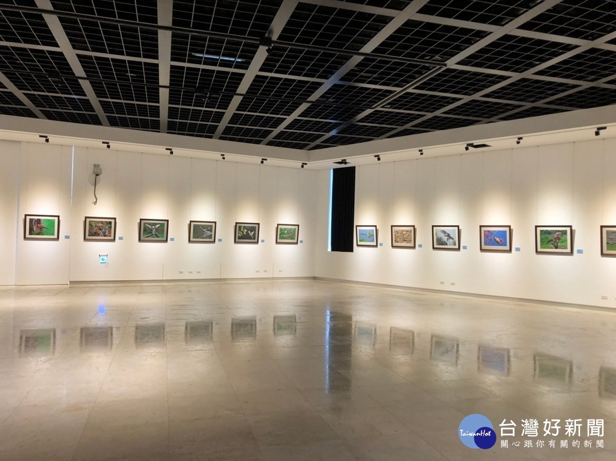 彰化縣美術家第102棒,許桂益「臺灣野鳥之美攝影展」。