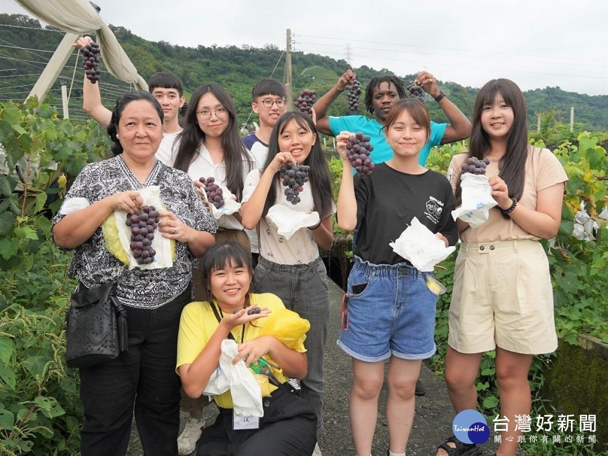 中原大學帶領境外生走進苗栗卓蘭山區體驗採葡萄,了解雙連梨社會企業為農村帶來的生機與改變