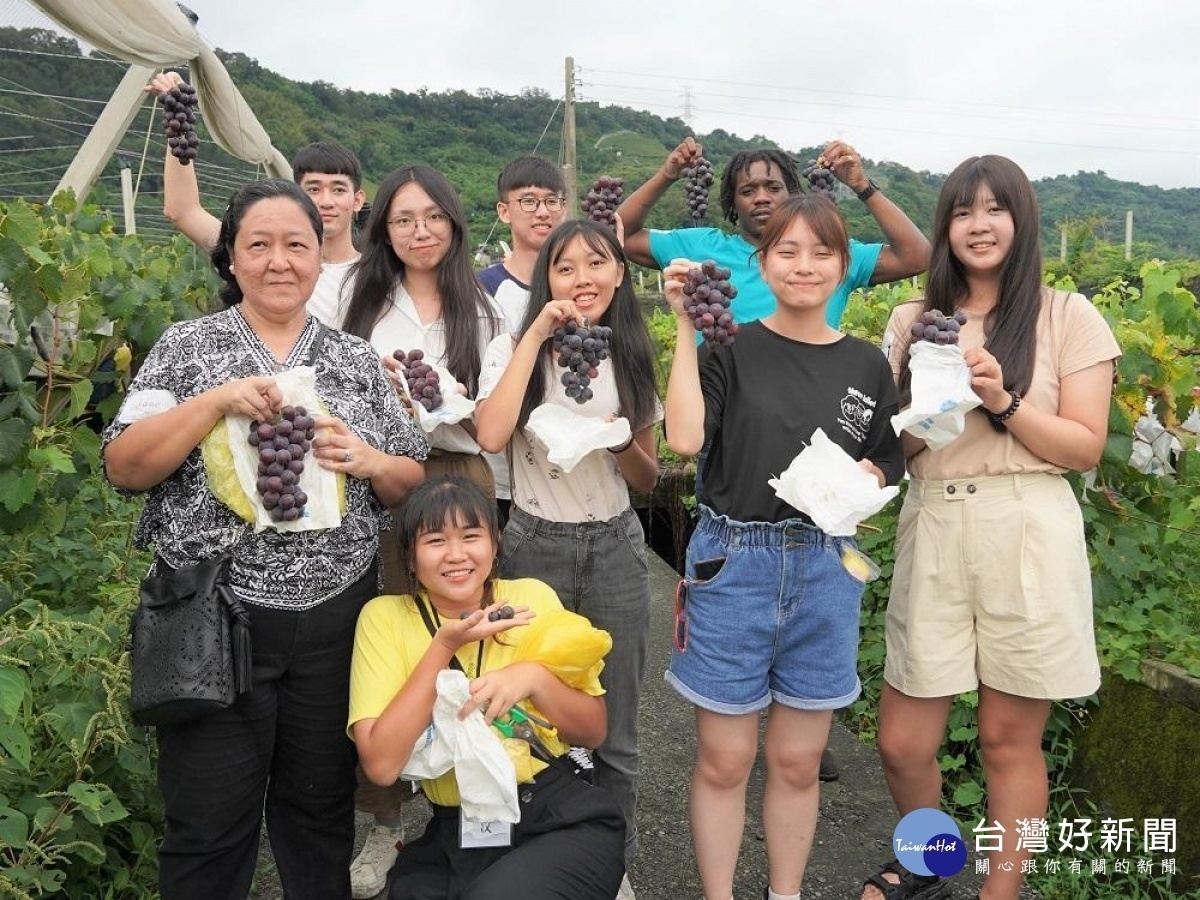 中原大學帶領境外生走進苗栗卓蘭山區體驗採葡萄，了解雙連梨社會企業為農村帶來的生機與改變