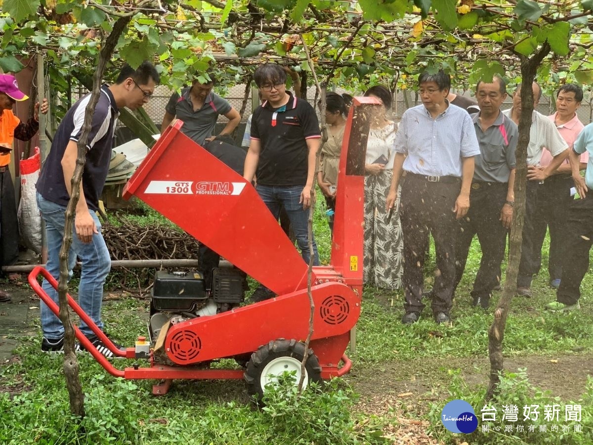 樹枝打碎機破碎葡萄廢棄枝條情形。