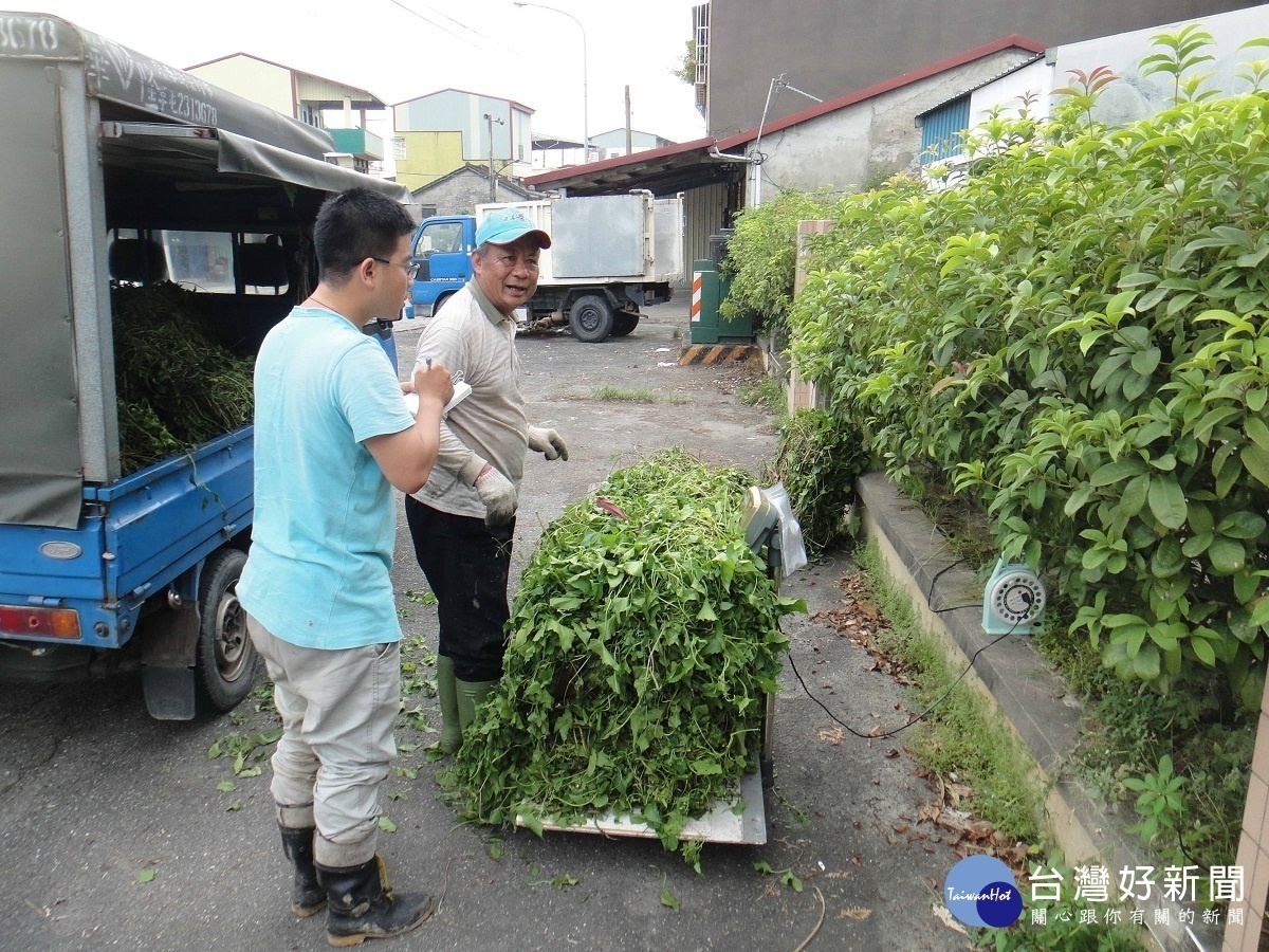 防治小花蔓澤蘭蔓延 農委會林管處辦理收購