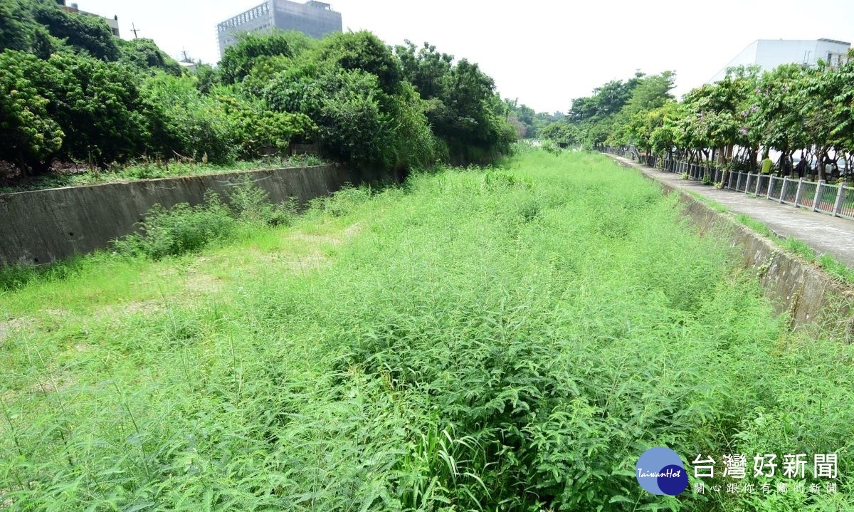 彰化市石牌坑排水現場視察欲改善排水工程。