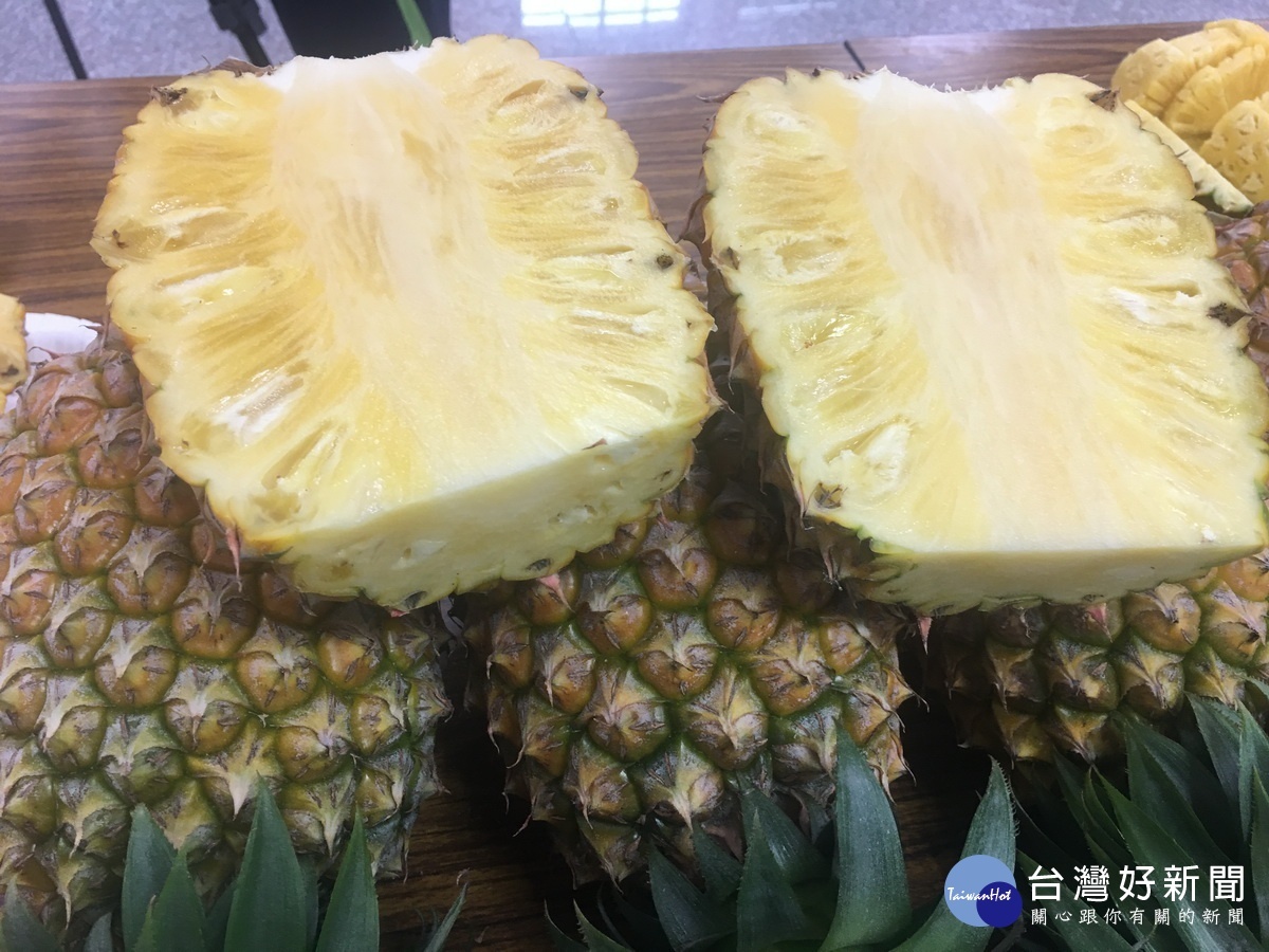 鳳梨品種多元可供選擇。(記者扶小萍攝)