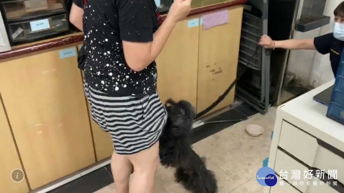 毛小孩一見到余姓飼主前來,趨前開心不斷地搖尾巴