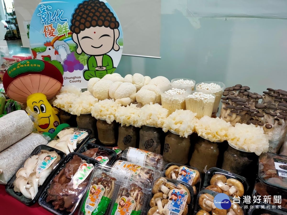 菇類生產合作社致力提供安全、新鮮、健康之高品質菇類。圖/記者鄧富珍攝
