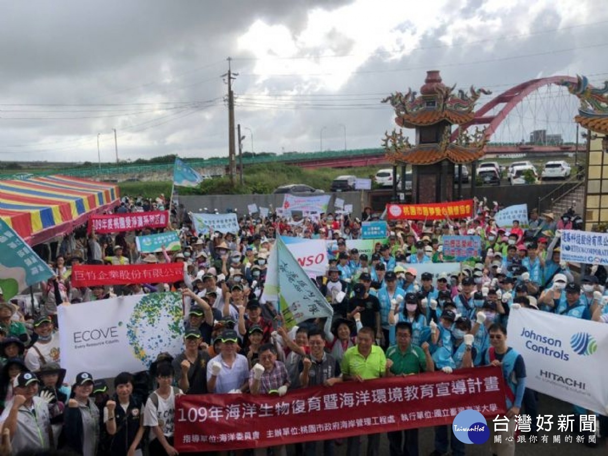 桃市府海岸管理工程處為響應國際淨灘行動，在竹圍漁港北岸海灘舉辦魚苗放流及淨灘活動。