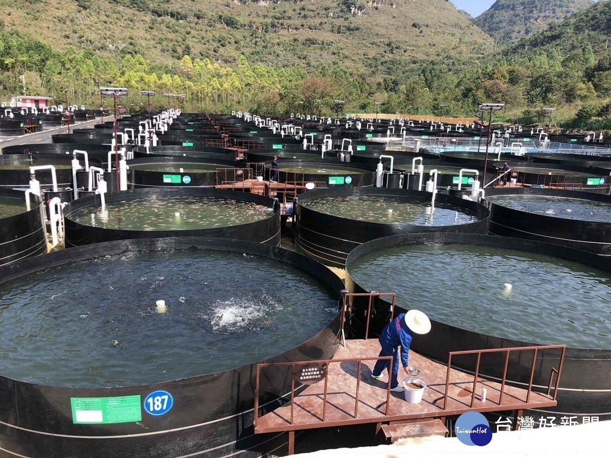 鮭魚返鄉 美上櫃科技水產養殖設備公司與明道攜手培育人才