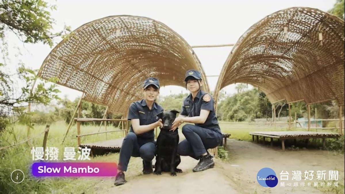 桃園地景藝術節,平警「猛犬」賣萌宣導。