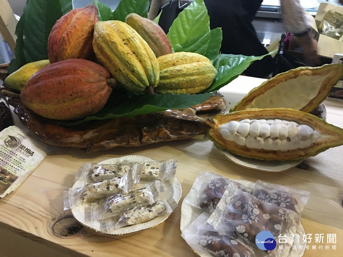 南投在地的可可豆質地受肯定。(記者扶小萍攝)