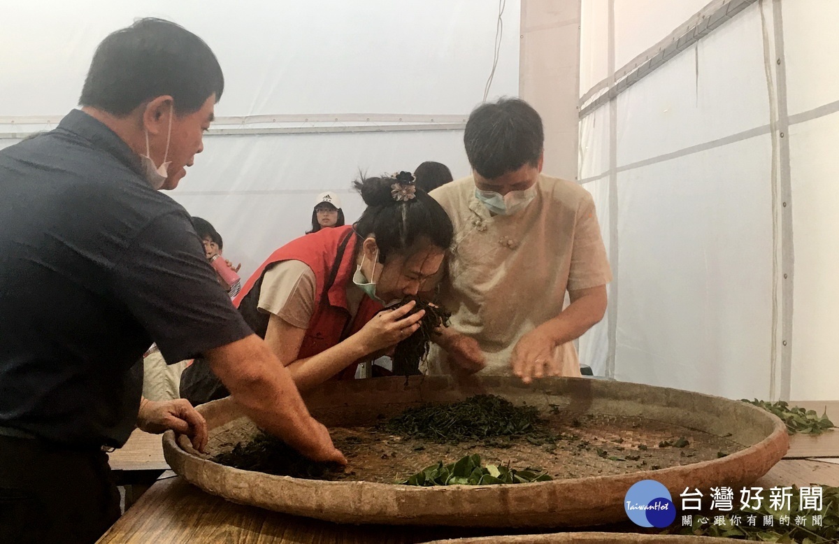 聞香知茶。(記者扶小萍攝)