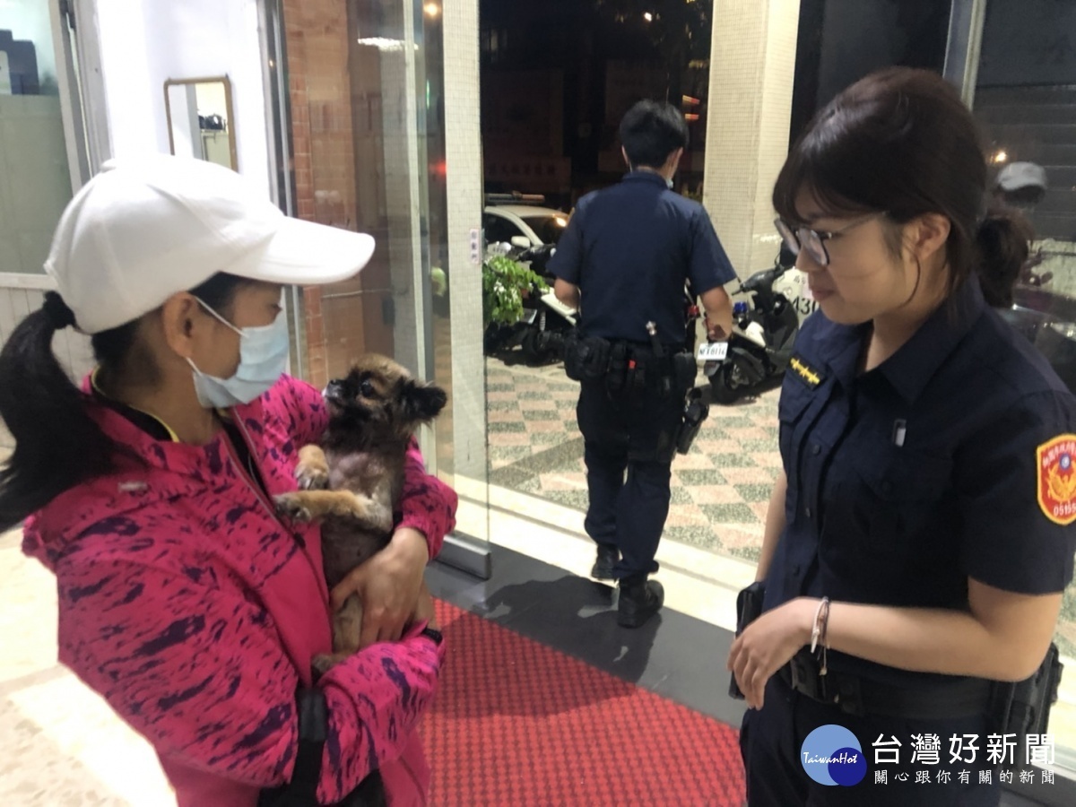 楊姓婦人家中的毛小孩晚間跑出家門遍尋不著,向警方求助找尋。