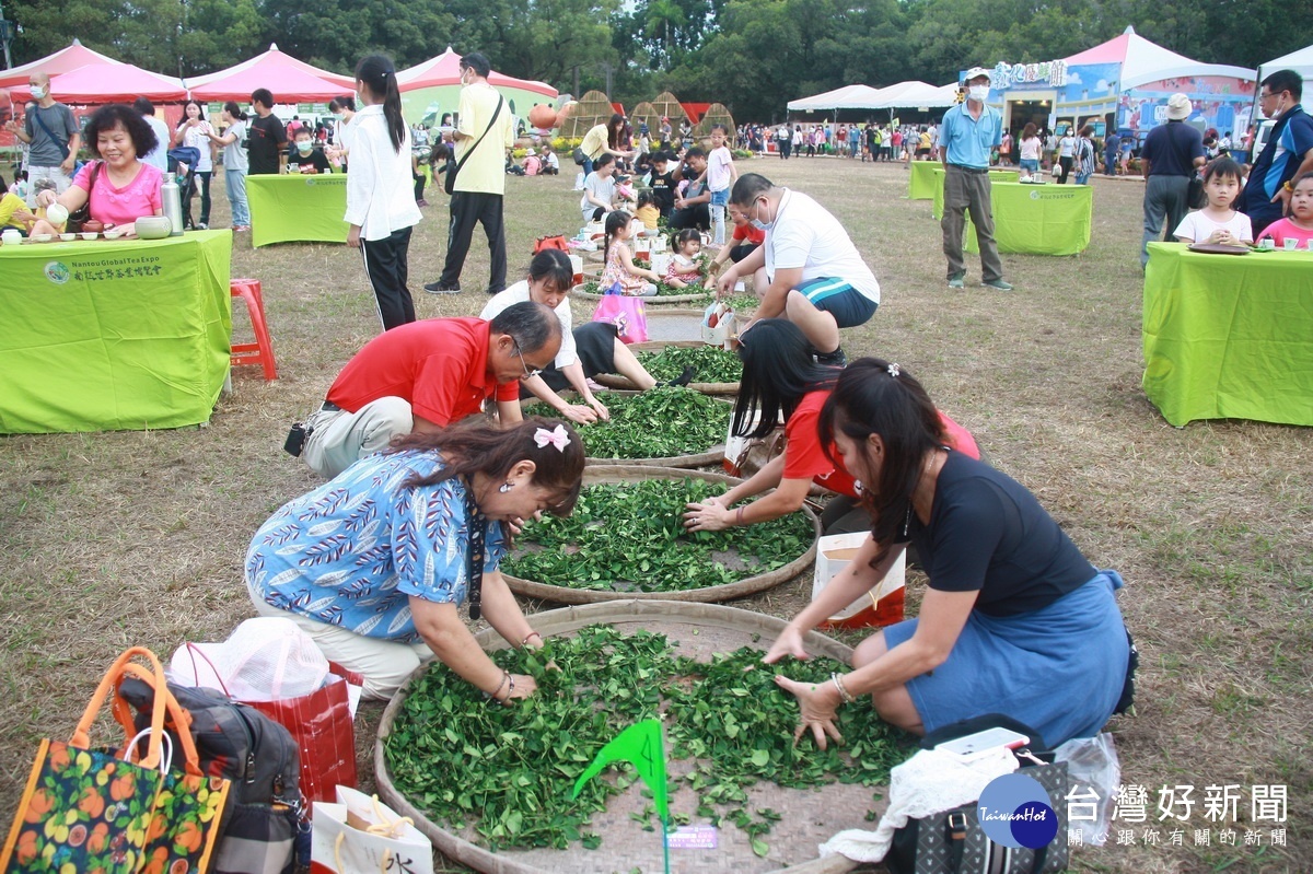 茶要揉得適當並不簡單。(記者扶小萍攝)