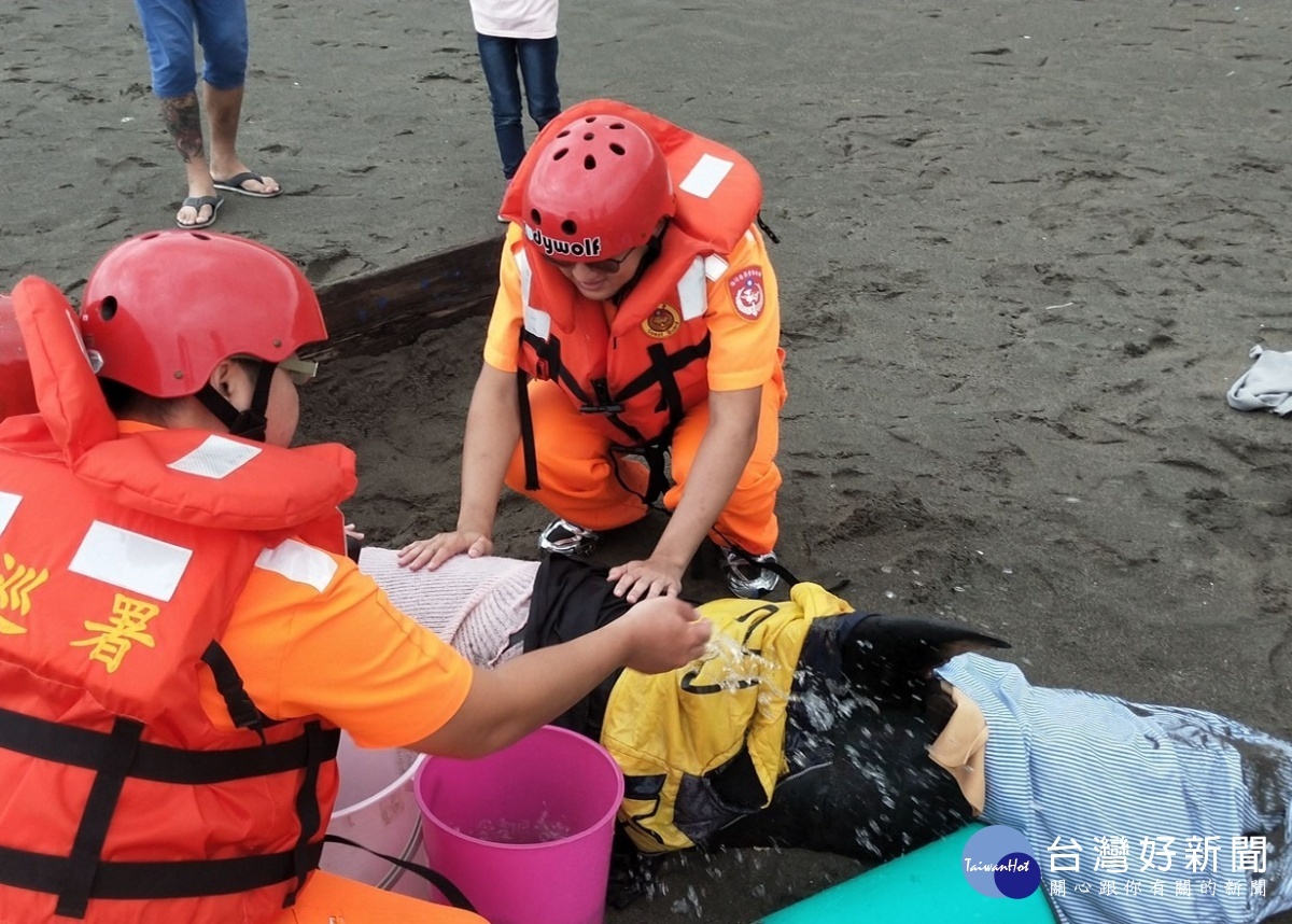 2隻瓜頭鯨同海域擱淺 海巡迅速通報搶救