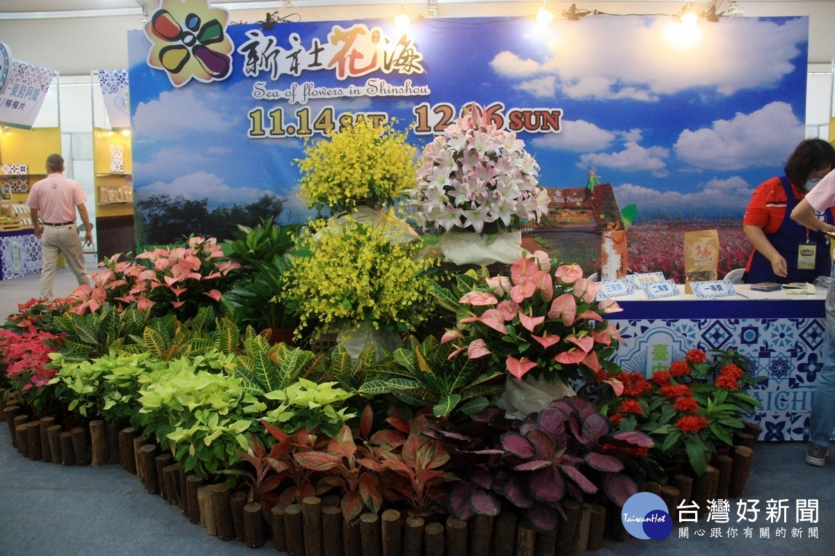 台中農好最具代表性的新社鮮花香氣怡人。(記者扶萍攝)