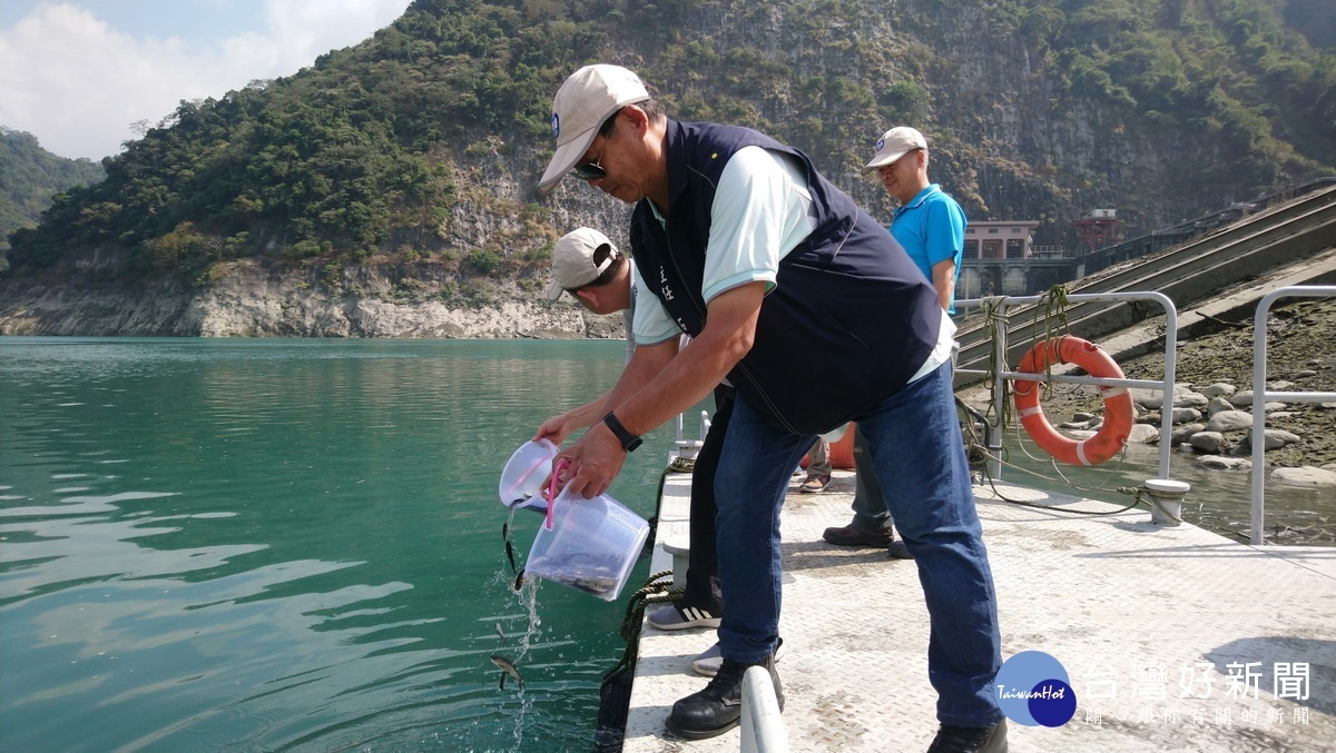 貴賓參與明潭發電廠下池水庫的魚苗放養。(記者吳素珍攝)