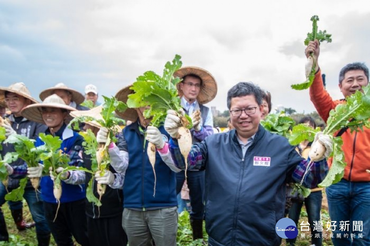 桃園花彩節大園展區系列活動舉辦「千人拔蘿蔔活動」，市長也換裝體驗農事樂趣