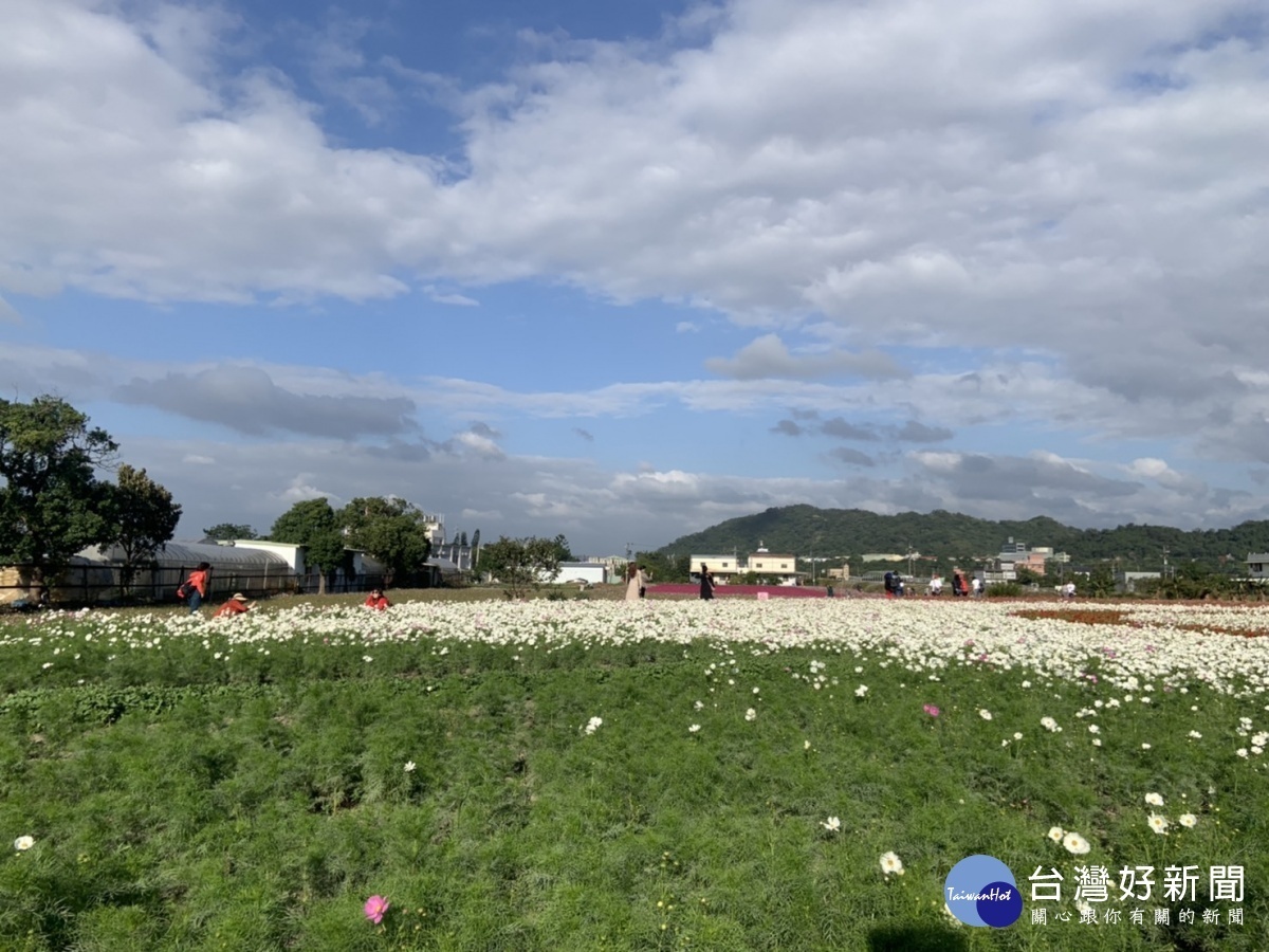 桃園花彩節大溪場,大溪警方特別規劃交通疏導