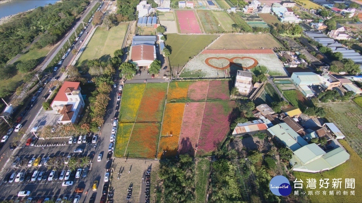 市府地方攜手合作 成功打響桃園花彩節大溪場