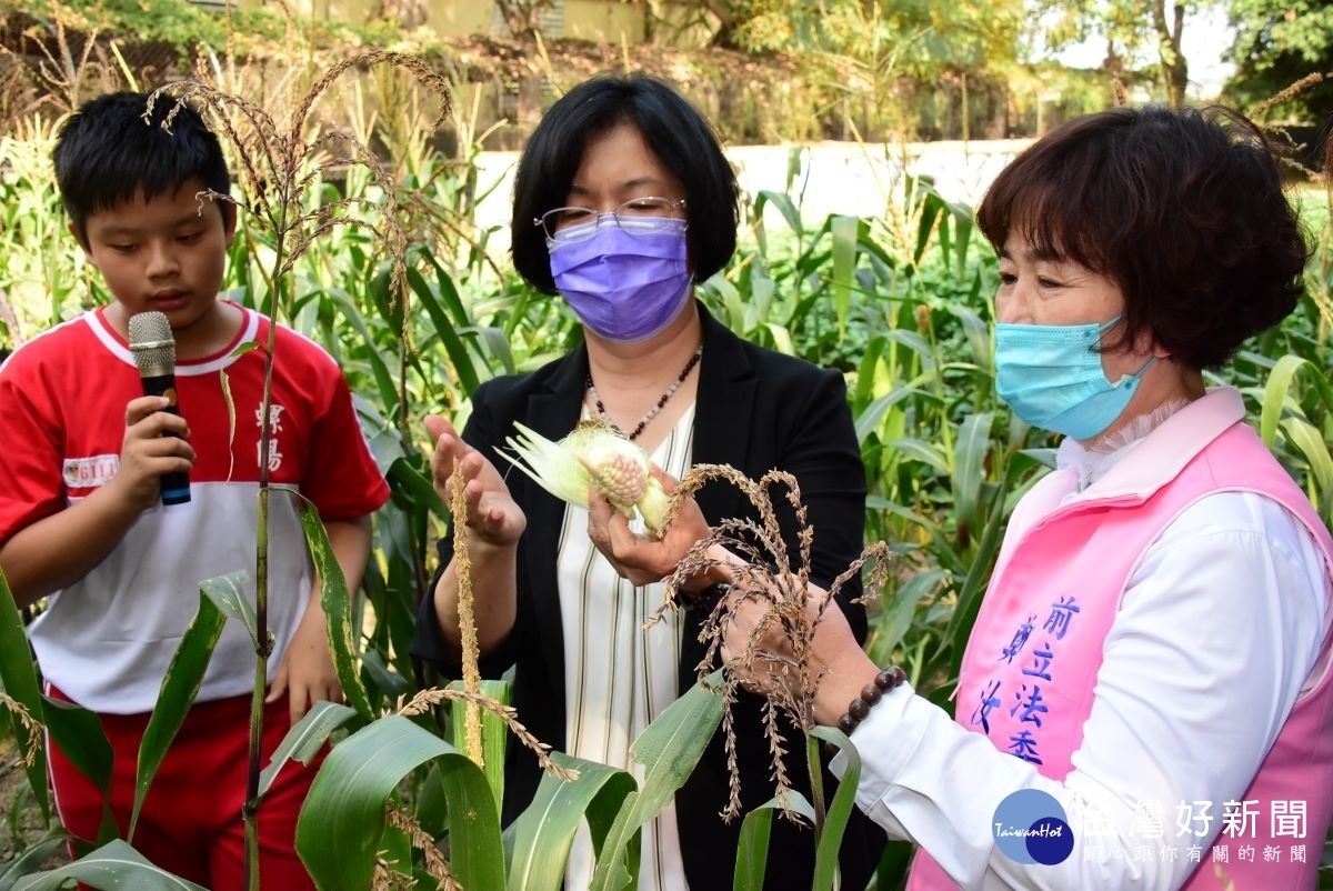 由螺陽國小學童親自為縣長王惠美等人介紹玉米田的食農教育成果。