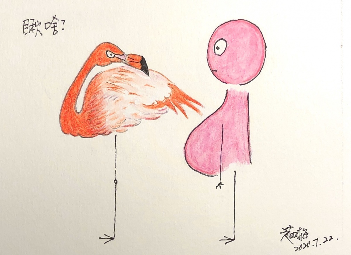 趙樹海分享自己的插畫創作,所設計的「Pink Sir粉紅先生」意外討喜。