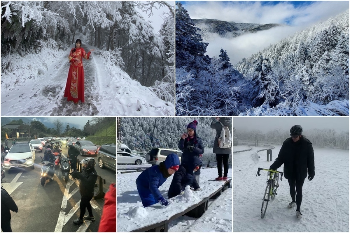 太平山上持續湧現追雪人車。（圖／太平山國家森林遊樂區）