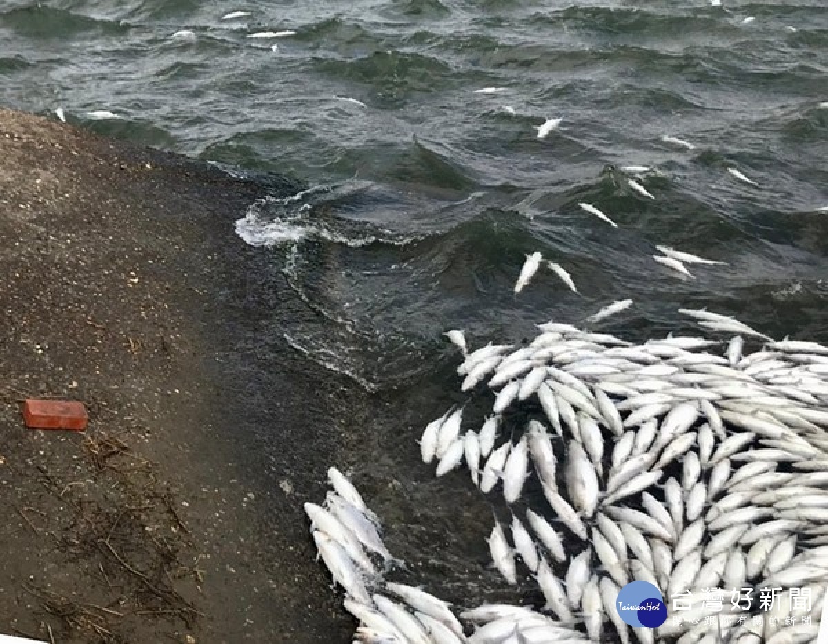 寒害導致沿海虱目魚大量死亡，經農委會公告為天然災害現金救助與低利貸款，雲縣府加碼補助處理費每公頃3000元力挺漁民復養作業。